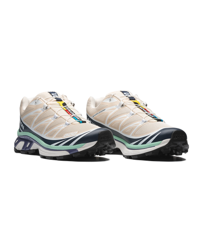 Salomon XT-6