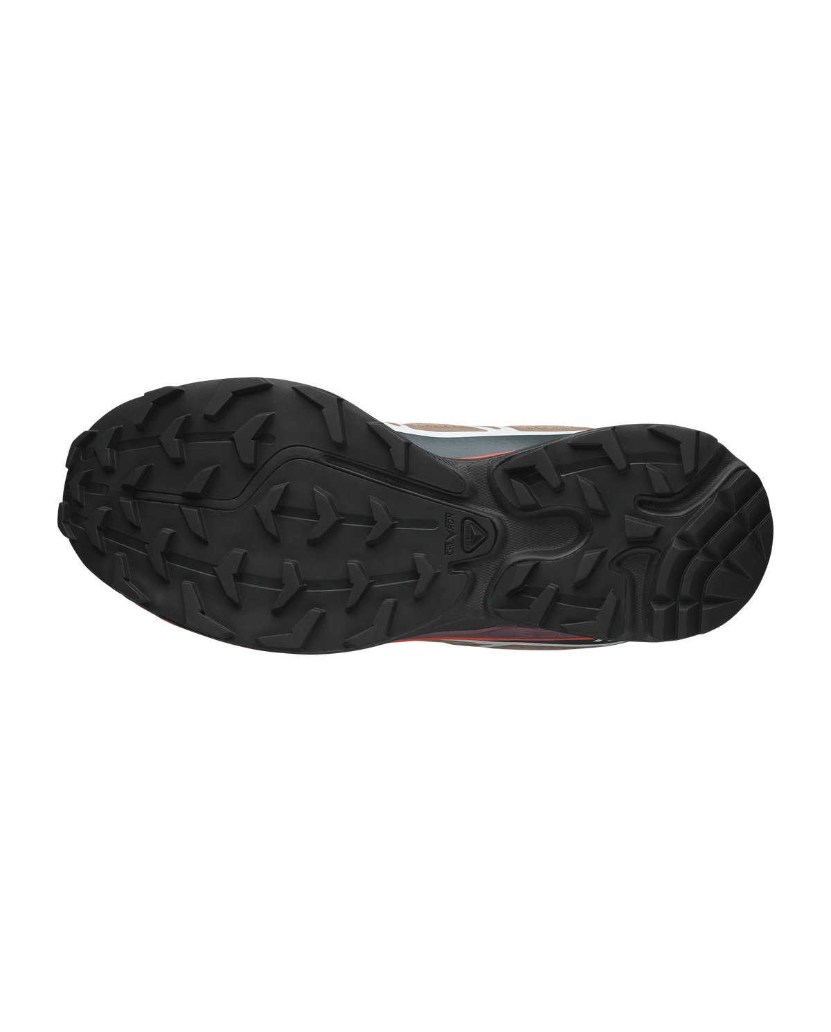 Salomon XT-6