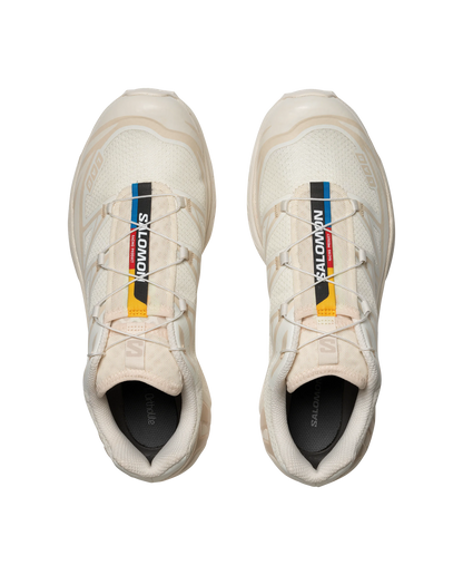 Salomon XT-6