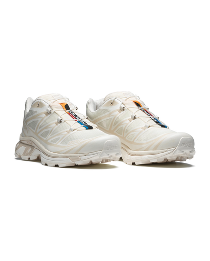 Salomon XT-6