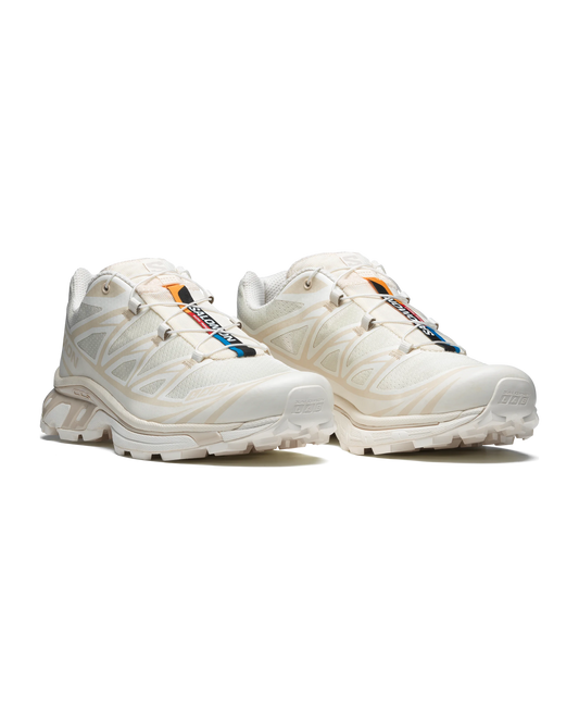 Salomon XT-6