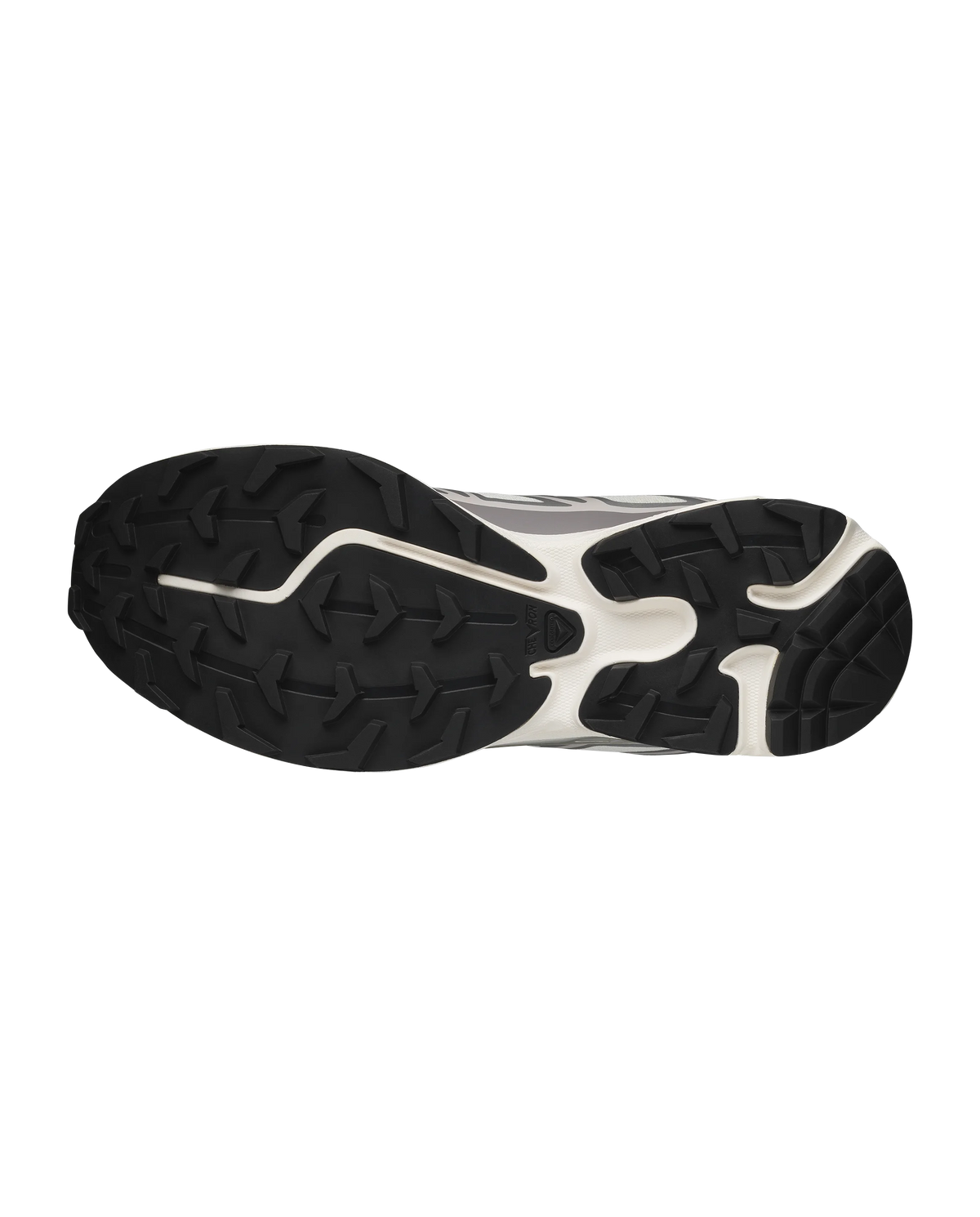 Salomon XT-6